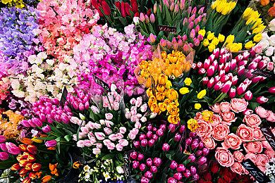 尽享射击乐趣《穿越火线：塞拉小队》现已上市